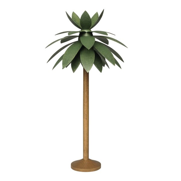 Wendt & Kühn Palme Klein 5250/11k